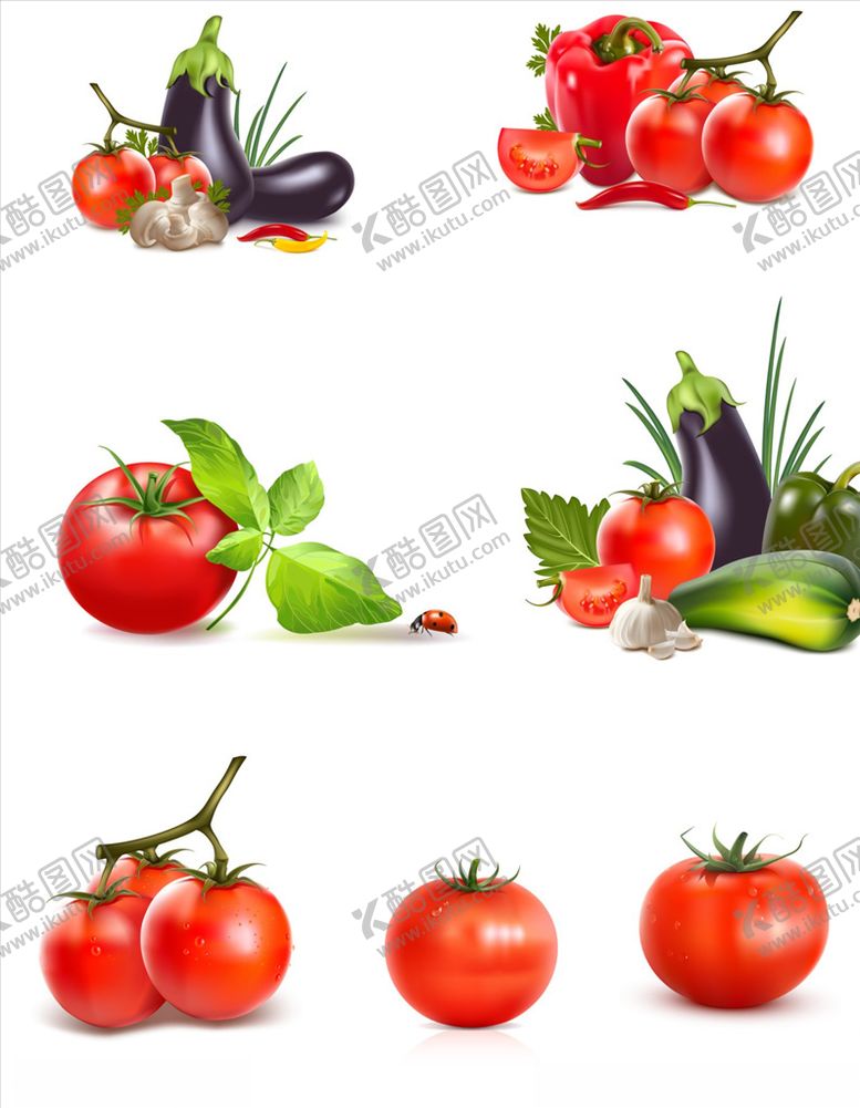 编号：11410509201542265060【酷图网】源文件下载-西红柿蔬菜