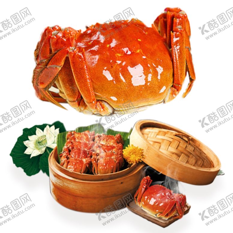 编号：69394309211225307725【酷图网】源文件下载-大闸蟹