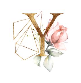 字母Y