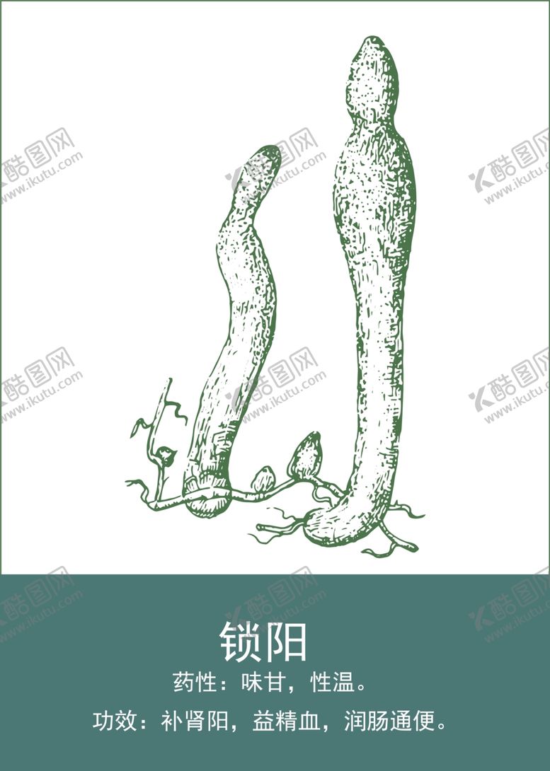 编号：57526601140938248117【酷图网】源文件下载-中药手绘插画