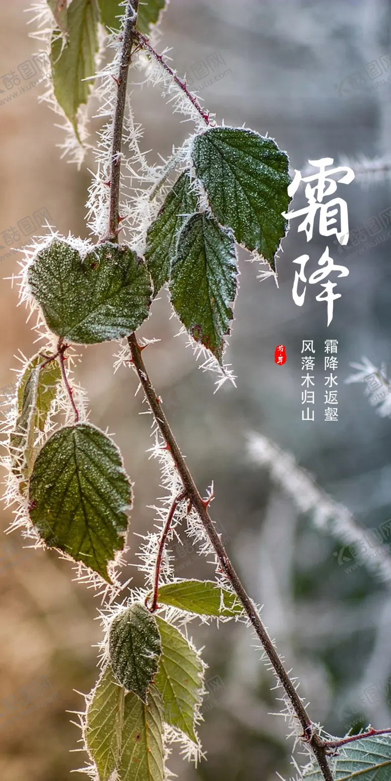 编号：52573112051659472696【酷图网】源文件下载-霜降
