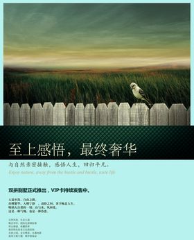 创意海报设计