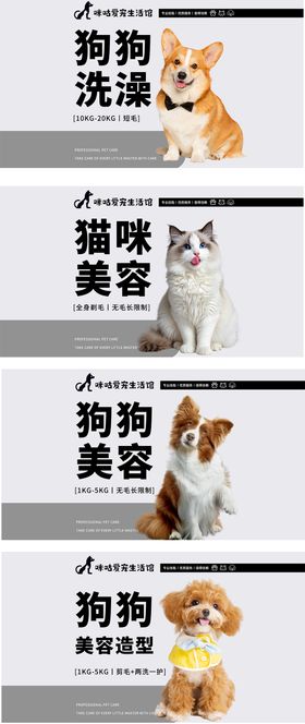 宠物洗护轮播海报