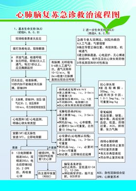 心肺脑复苏急救流程