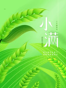 小满宣传传统节气地产地产