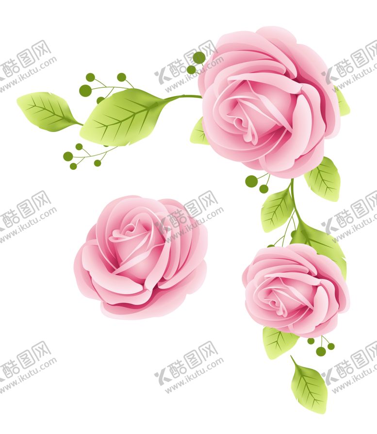 编号：33761009171436308698【酷图网】源文件下载-玫瑰花