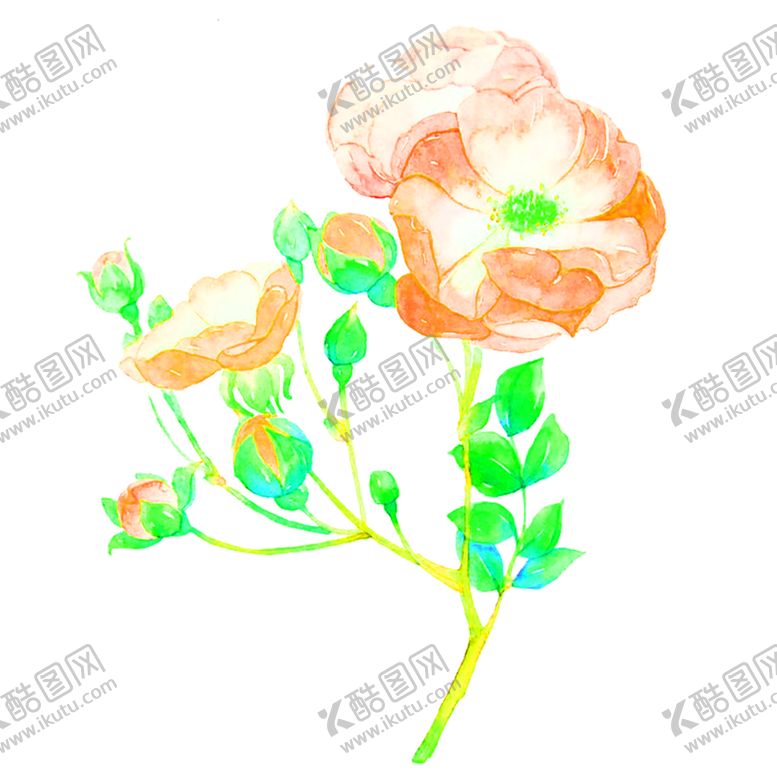 编号：94396106171329164044【酷图网】源文件下载-花素材