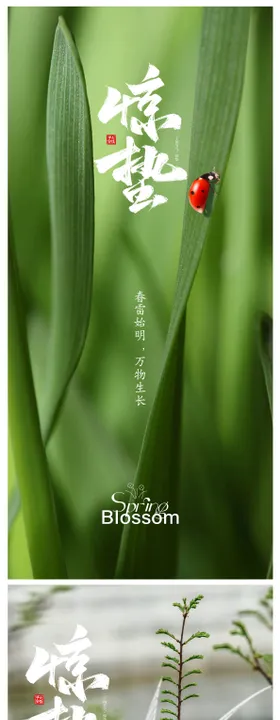 惊蛰海报大自然二十四节气燕子春天