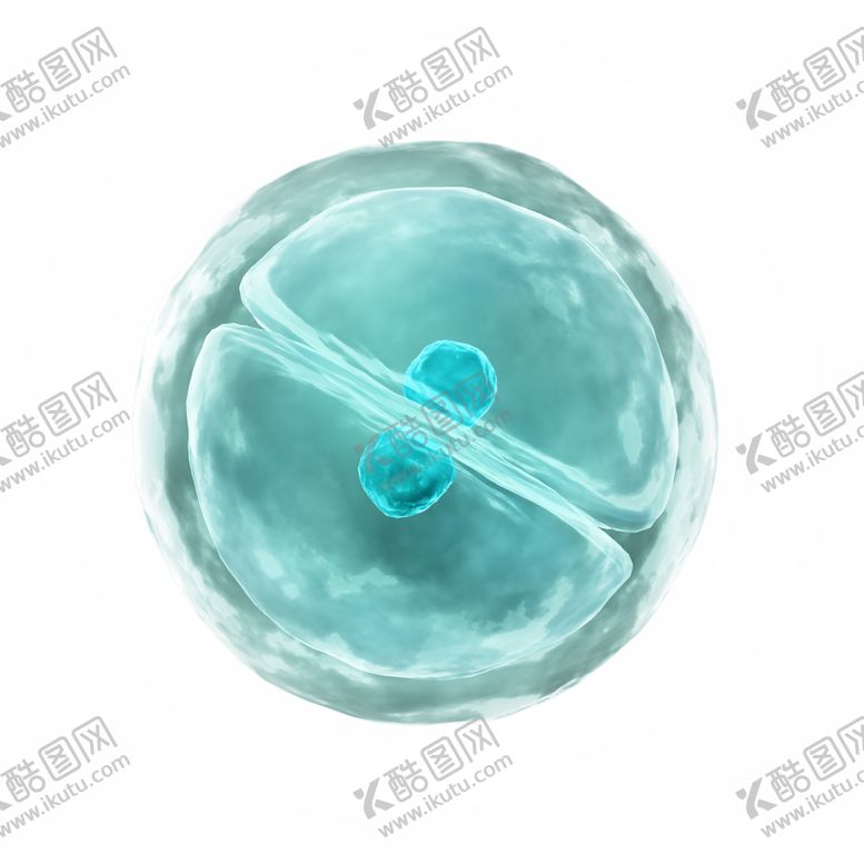 编号：82601912121911298560【酷图网】源文件下载-分子结构
