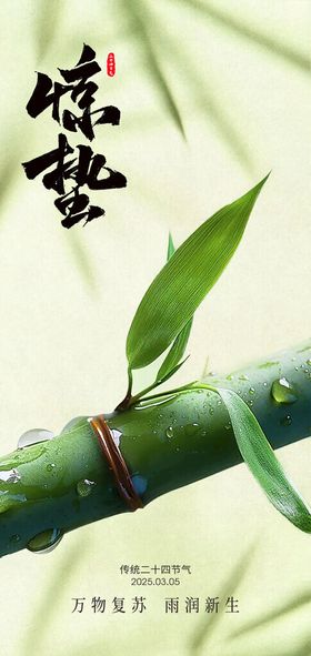 传统24节气惊蛰创意海报