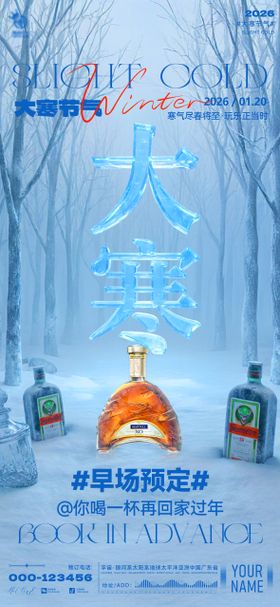 酒吧大寒海报