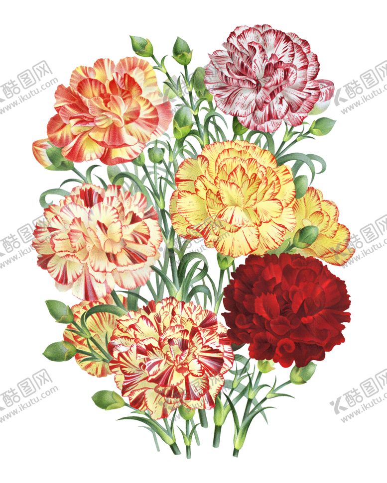 编号：93120607091727579617【酷图网】源文件下载-手绘花花朵