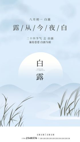 白露海报