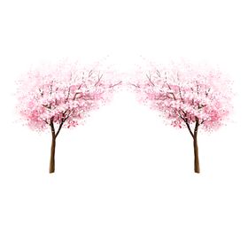 樱花创意绘画图案