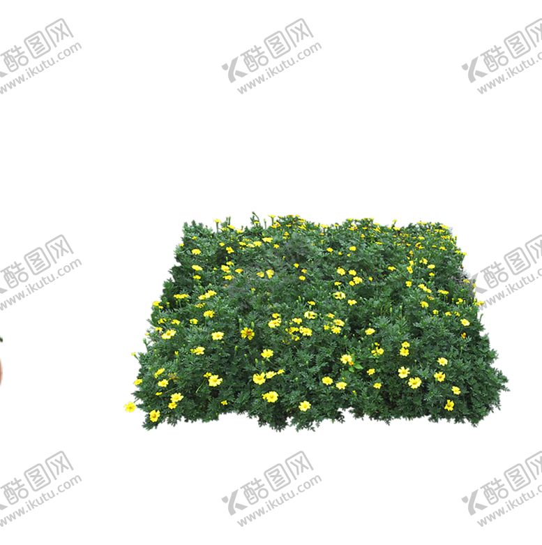 编号：17544409131544121381【酷图网】源文件下载-绿色装饰