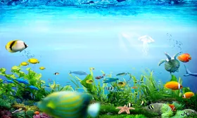 鱼缸素材