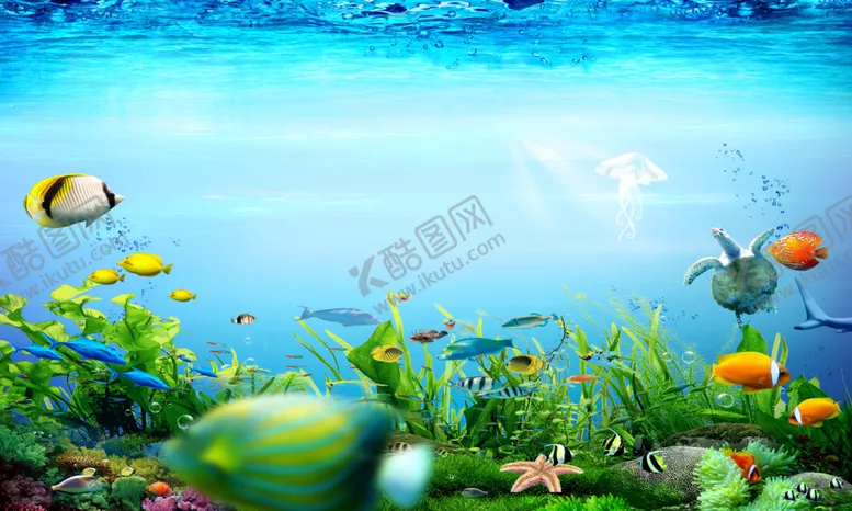 编号：94908311291225084390【酷图网】源文件下载-鱼缸素材
