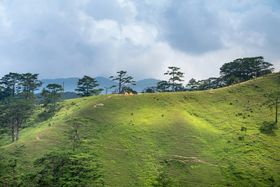 编号：03574809241421474108【酷图网】源文件下载-夏日风光背景 