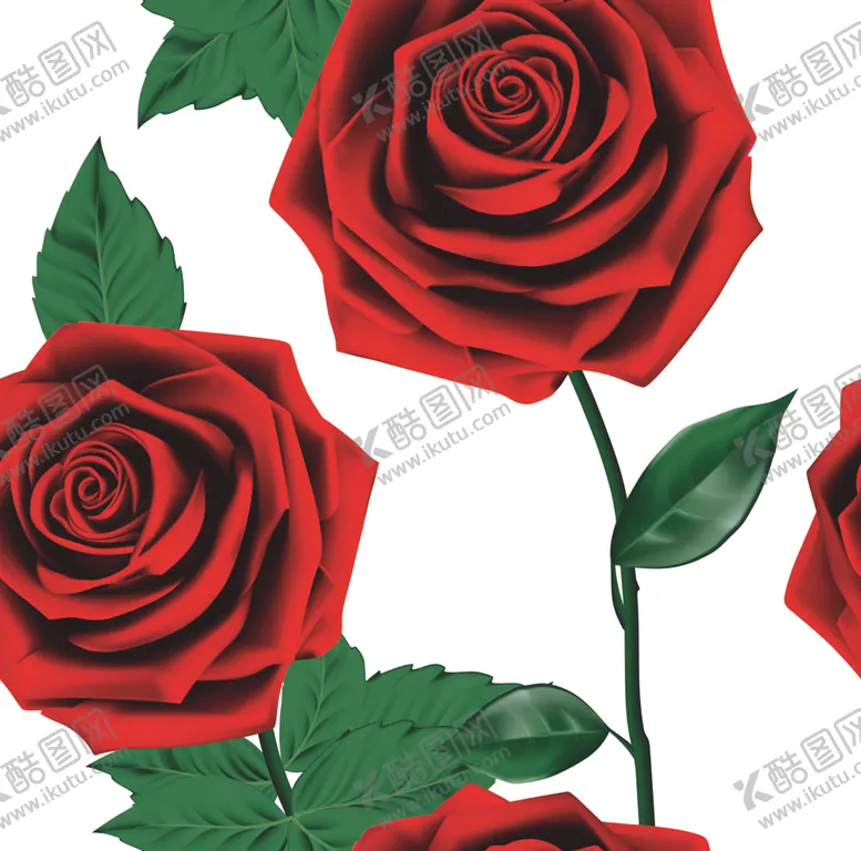 编号：71774006271326463716【酷图网】源文件下载-玫瑰花