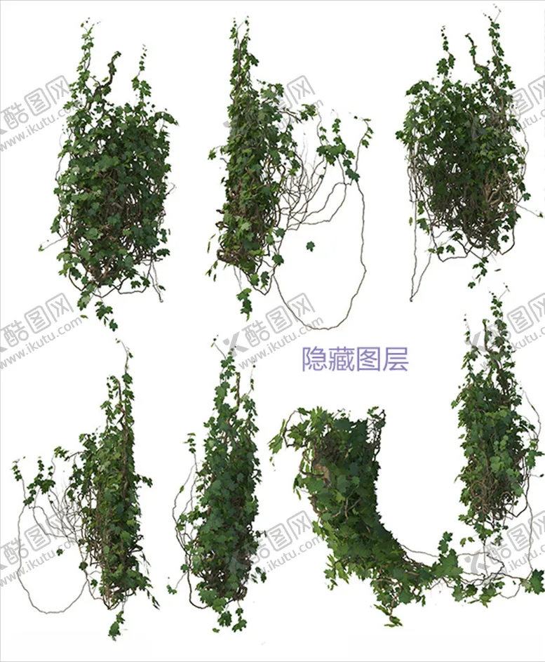 编号：95513606290001432363【酷图网】源文件下载-攀爬植物