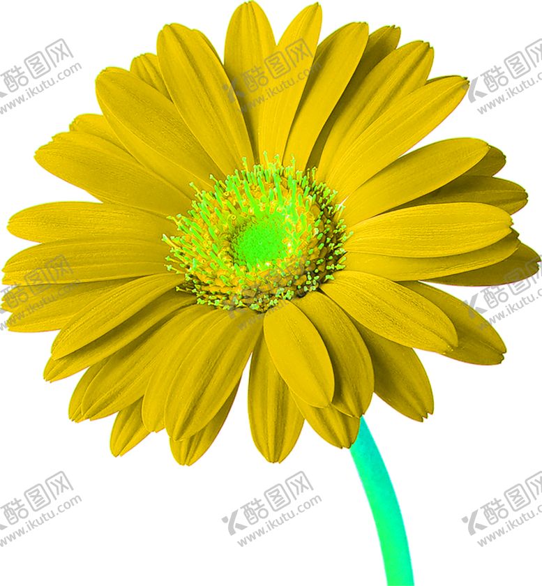 编号：72454006250550356709【酷图网】源文件下载-花素材