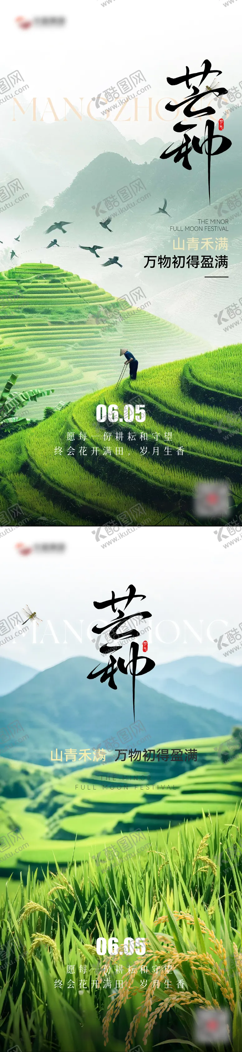 编号：58537405302354274356【酷图网】源文件下载-芒种节气海报