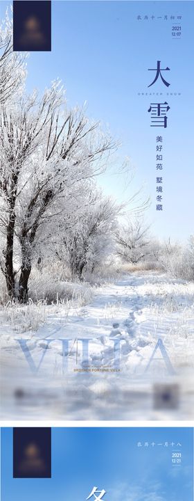 冬至大雪节气海报