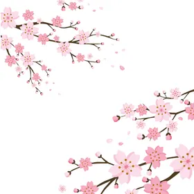 梅花桃花PNG广告设计工艺插画腊清新