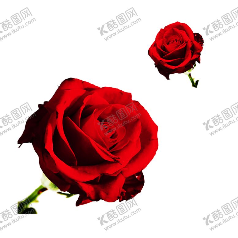 编号：39665107040447517600【酷图网】源文件下载-浪漫素材