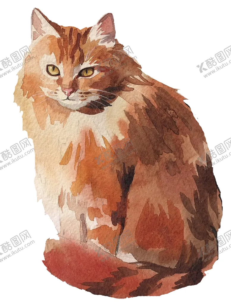 编号：76666302111556439010【酷图网】源文件下载-猫 