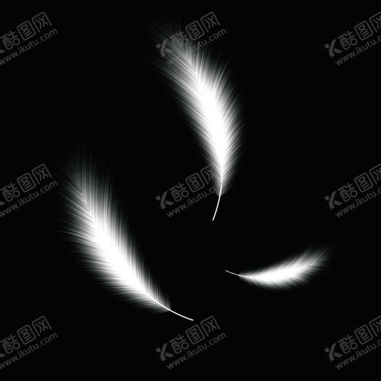 编号：58095307141131075802【酷图网】源文件下载-素材羽毛