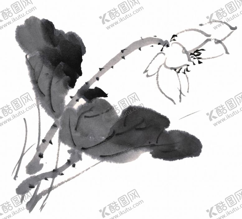 编号：22001906290056016219【酷图网】源文件下载-水墨荷花