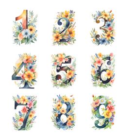 花卉数字