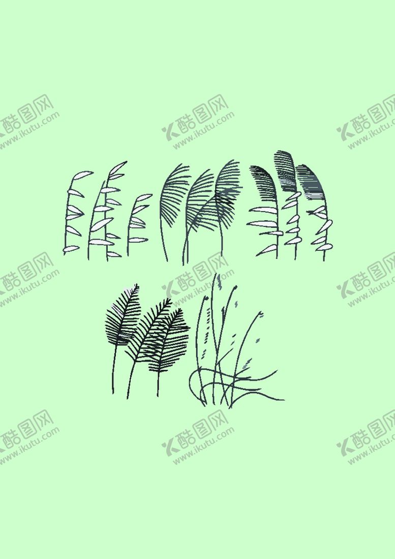 编号：52173301260226502981【酷图网】源文件下载-简笔画芦苇