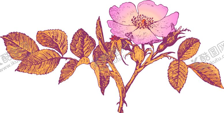 编号：41868709251342093221【酷图网】源文件下载-花素材