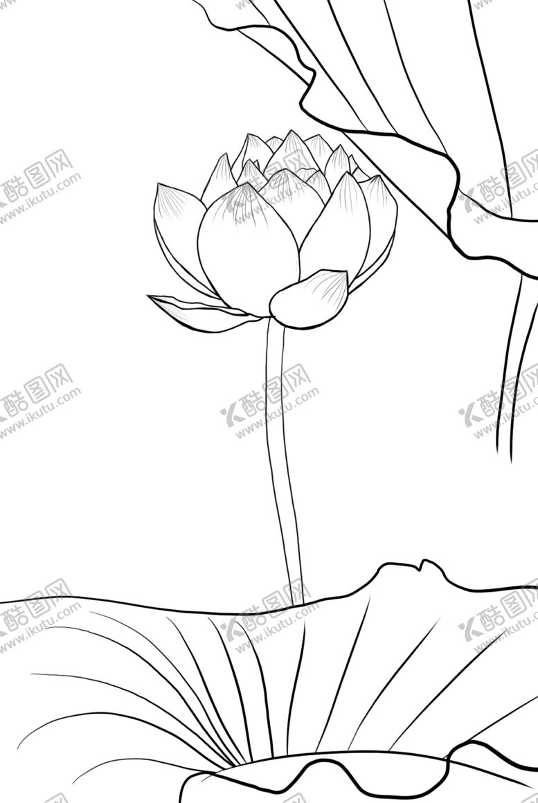 编号：20231404301408473401【酷图网】源文件下载-荷花