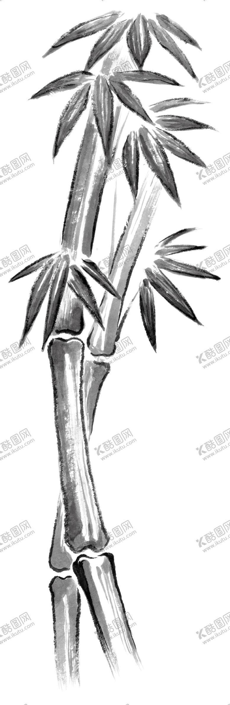 编号：12095809152319393506【酷图网】源文件下载-墨竹子竹免扣