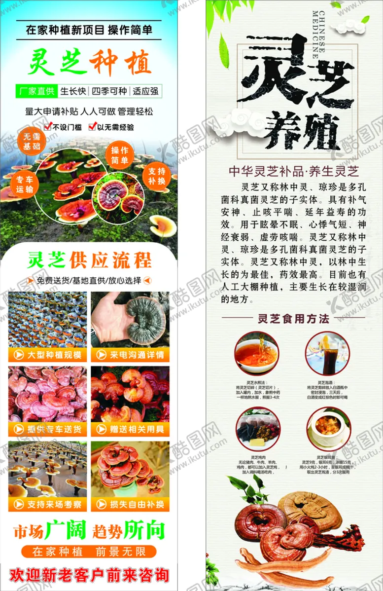 编号：86401601132220292495【酷图网】源文件下载-灵芝种植