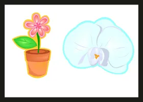 手绘花卉花朵