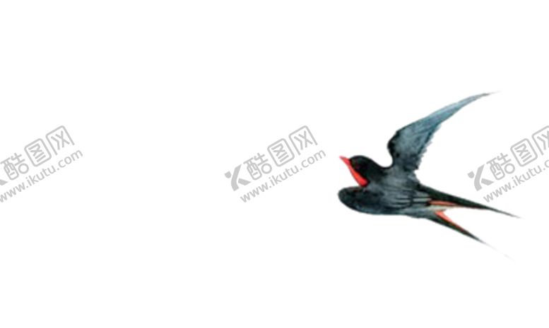 编号：34722907030840339101【酷图网】源文件下载-燕子素材
