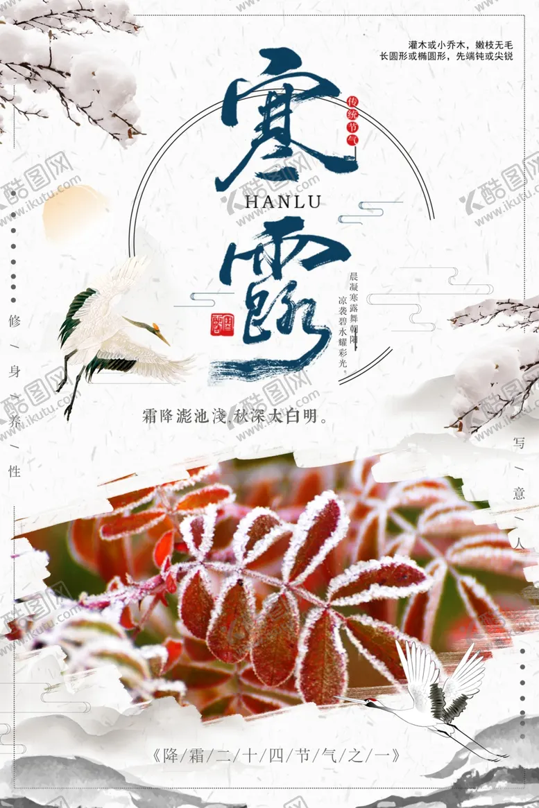 编号：36518606261828561100【酷图网】源文件下载-寒露海报