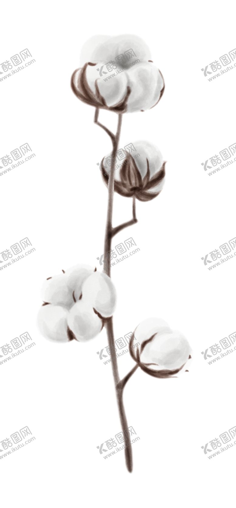 编号：57363009210932046647【酷图网】源文件下载-棉花壳