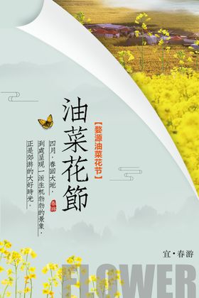 唯美油菜花海报