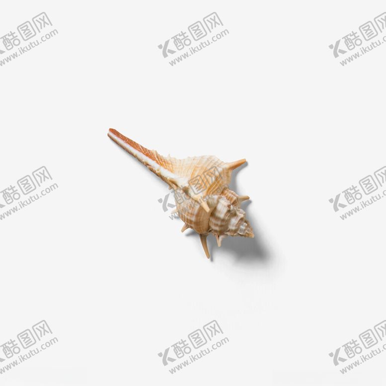 编号：79905101130641213970【酷图网】源文件下载-贝壳