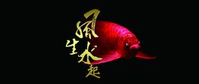 风生水起