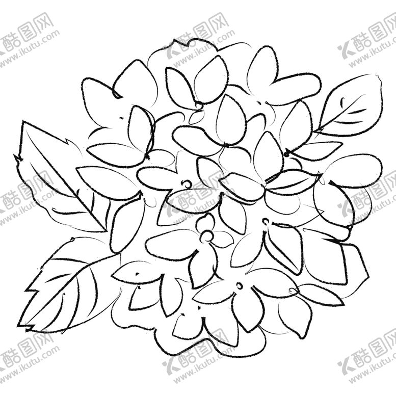 编号：93210106270811284367【酷图网】源文件下载-手绘植物花卉