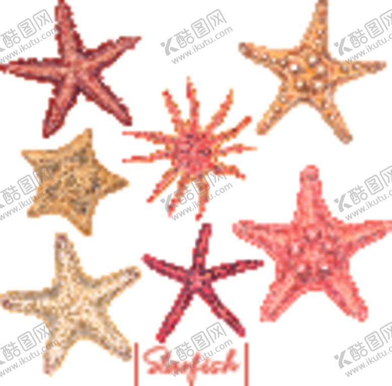 编号：65235209261013173886【酷图网】源文件下载-海螺贝壳