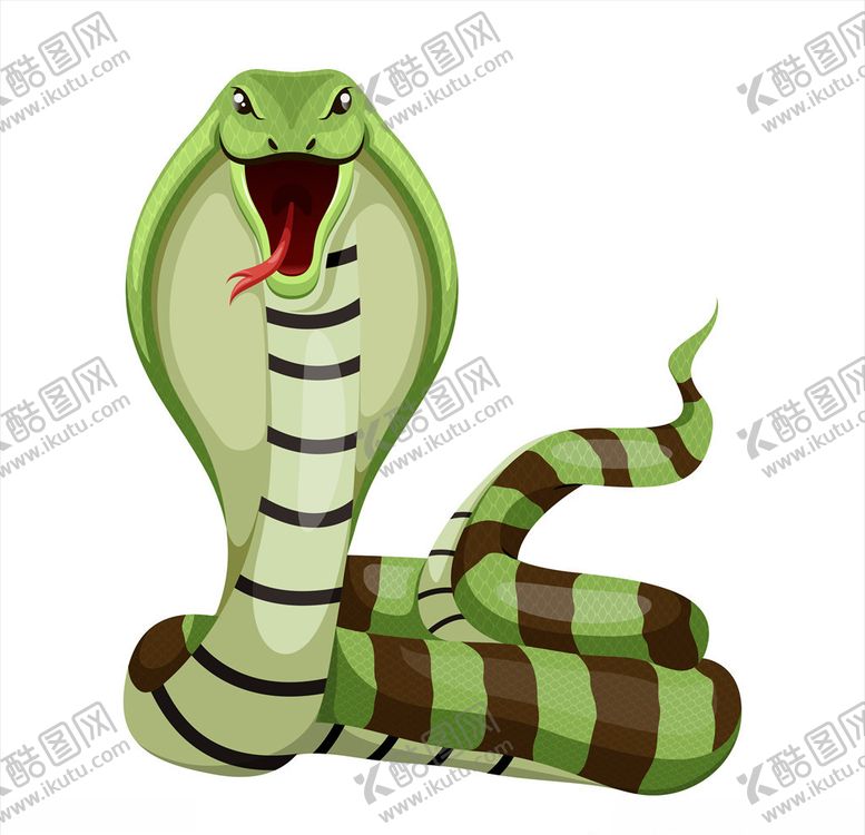 编号：54530809231559357178【酷图网】源文件下载-卡通眼镜蛇