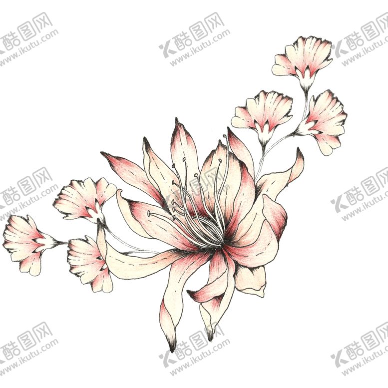 编号：90384105042245547160【酷图网】源文件下载-手绘花素材