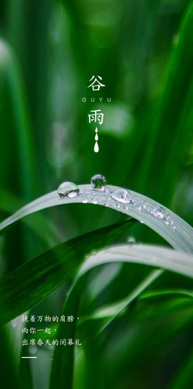 节日节气海报